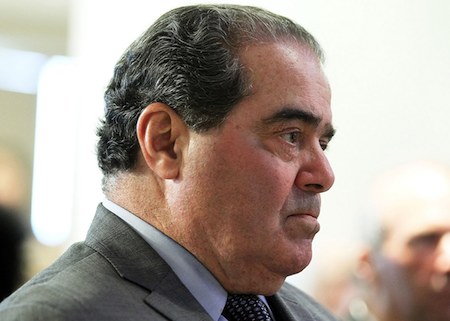 Scalia