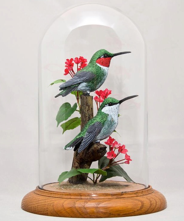 WBDeSelms_Hummingbirds
